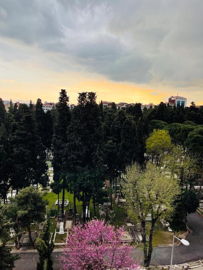 Aymira Suite Hotel Istanbul Rom bilde